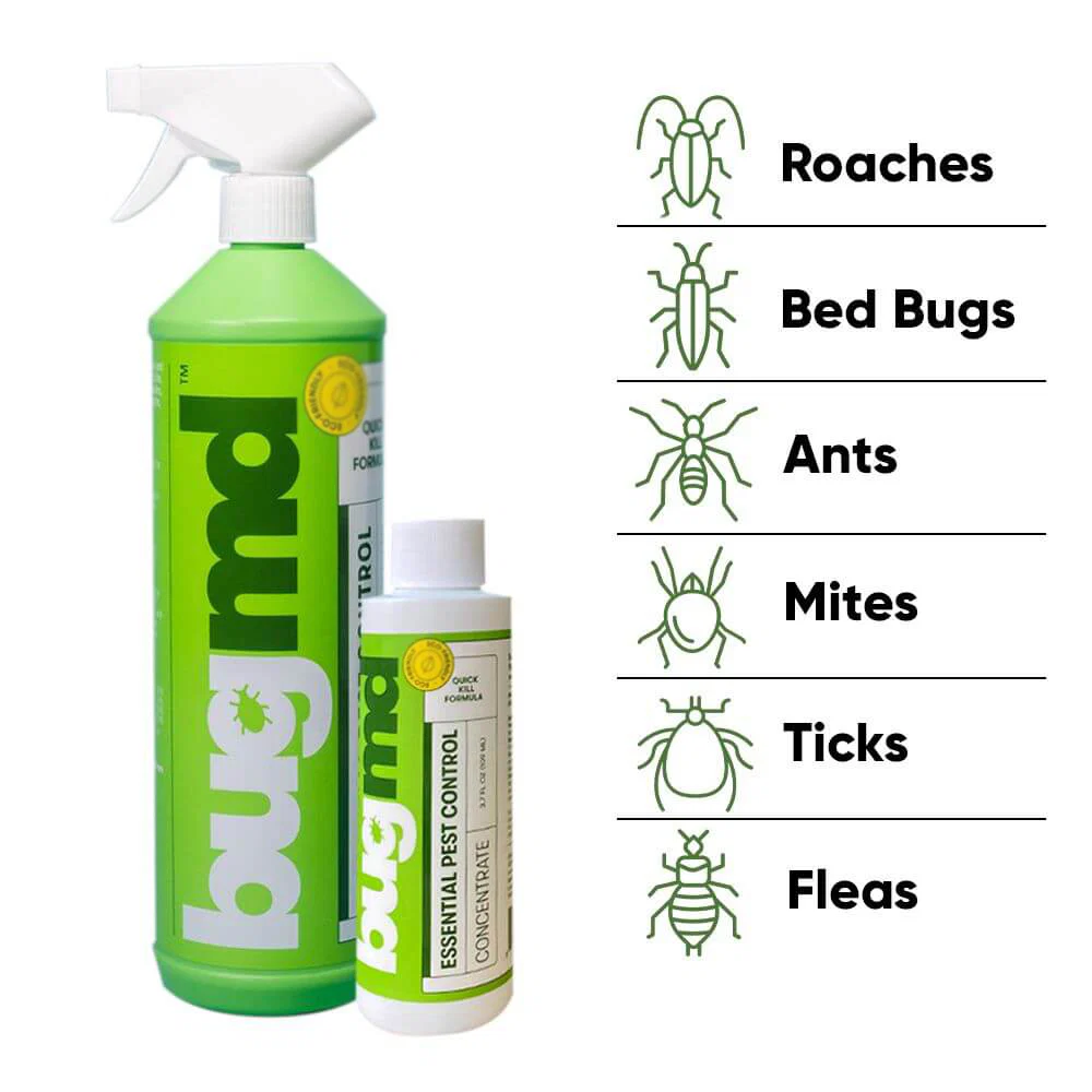 Bug MD Concentrate - Black Friday Sale