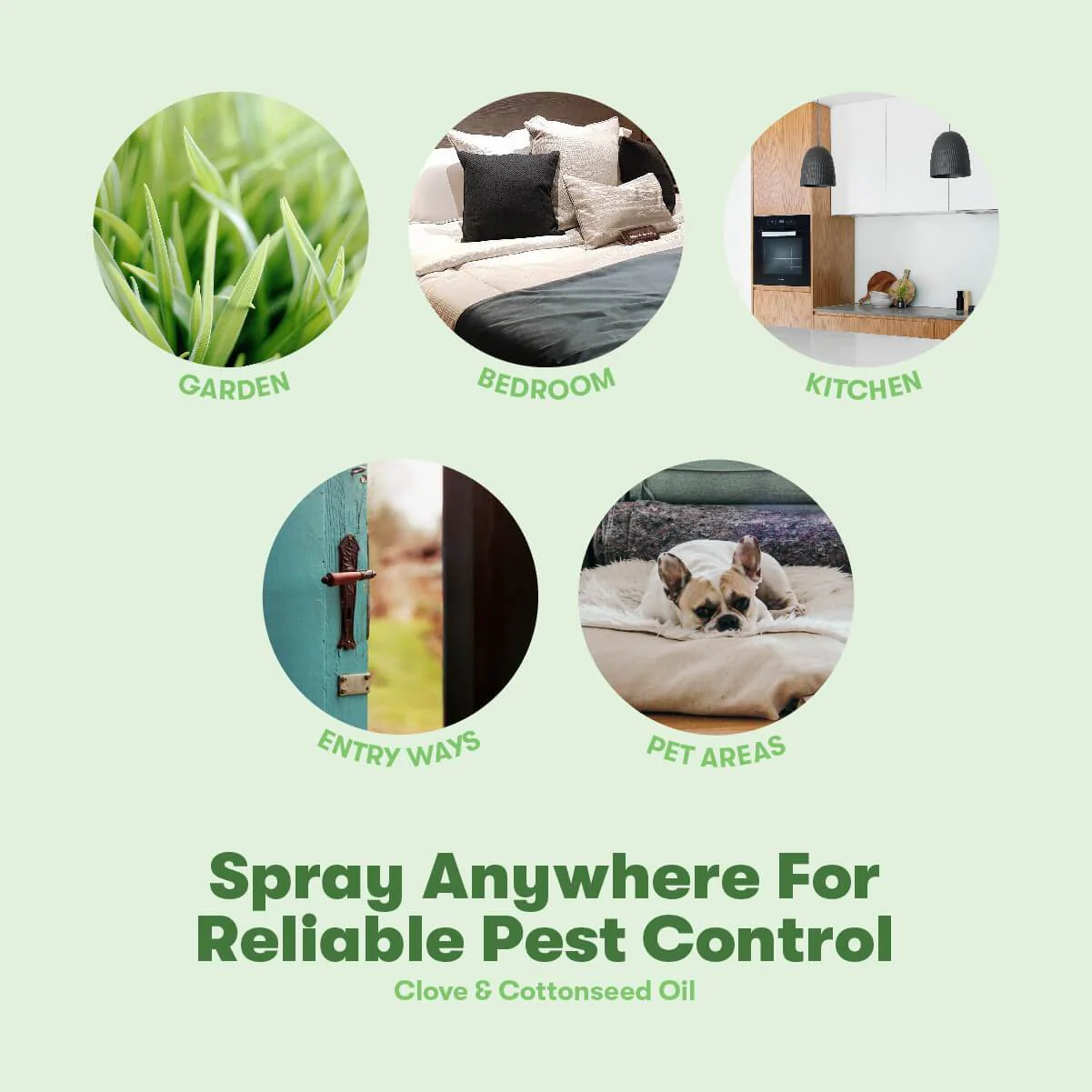 BugMD - Essential Pest Concentrate - Image 5