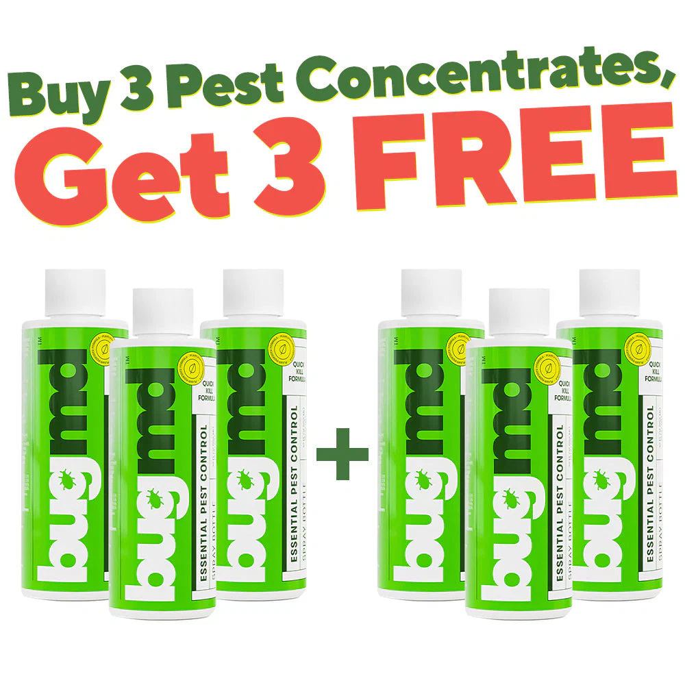 Exclusive Offer of Essential Pest Concentrate
