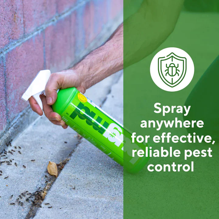 Exclusive Offer of Essential Pest Concentrate - Image 3
