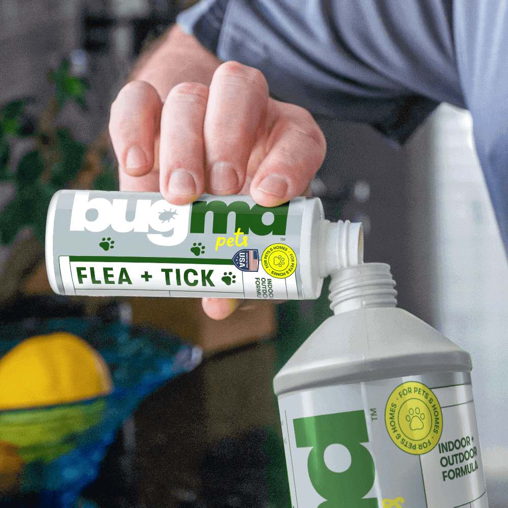 Buy 3, Get 3 Flea + Tick Concentrate FREE
