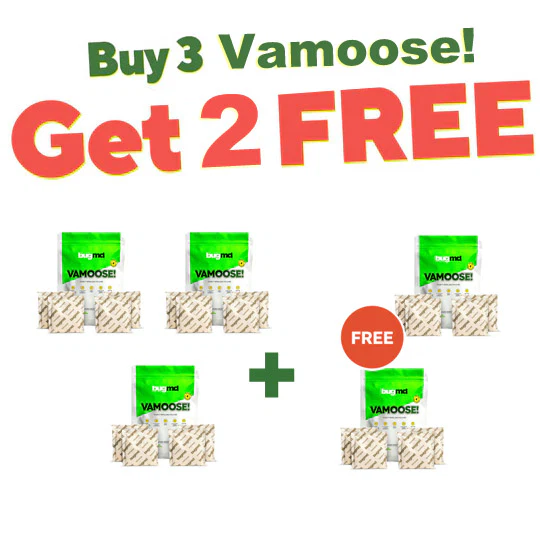 Exclusive Offer of VAMOOSE!