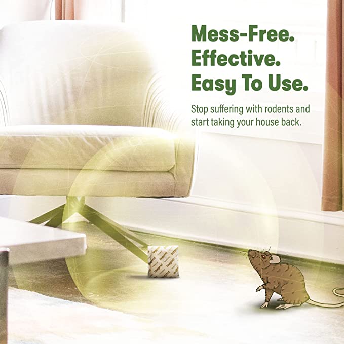 Exclusive Offer of VAMOOSE! - Image 5