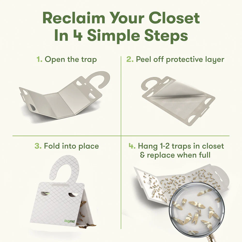 Clothes Moth Boss - Image 3