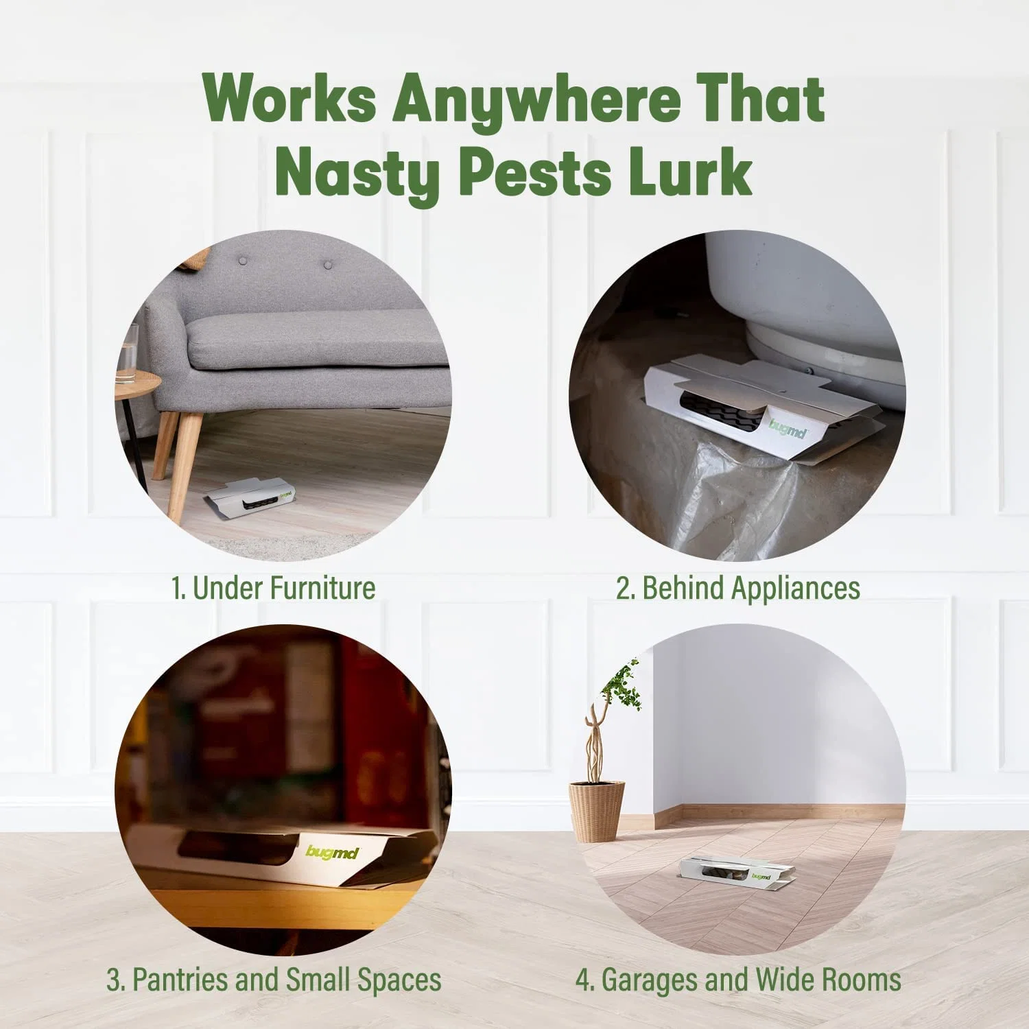 Cockroach Catcher (INT) - Image 5
