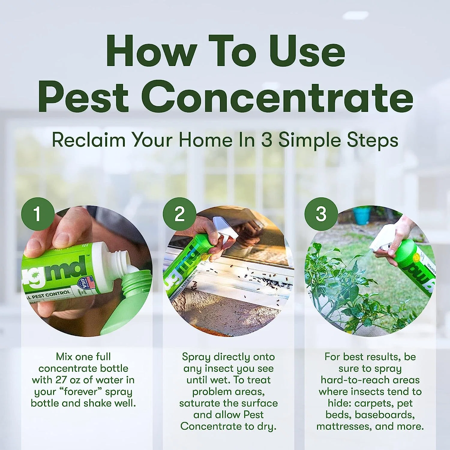 Essential Pest Concentrate - Image 3