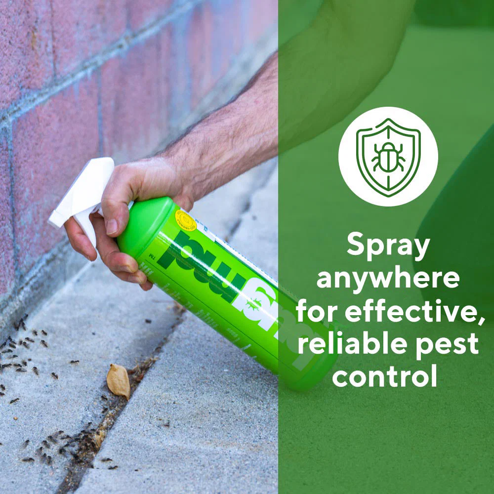 Essential Pest Control Plus a FREE Gift - Image 3
