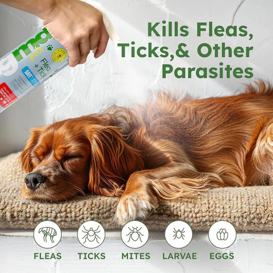 Flea + Tick Control - Image 3