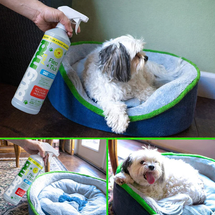 Essential Flea + Tick Concentrate Spray Bottle (Empty) - Image 5