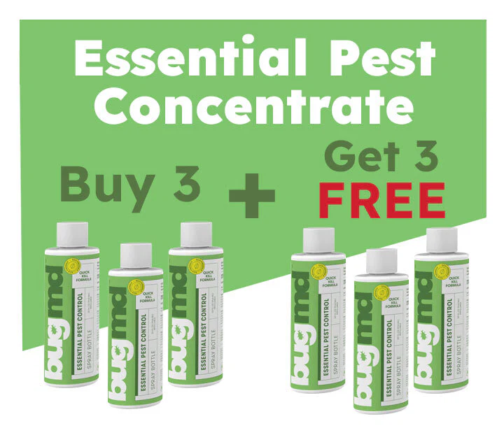 Pre-Memorial Day Sale: 50% OFF These 3 Products