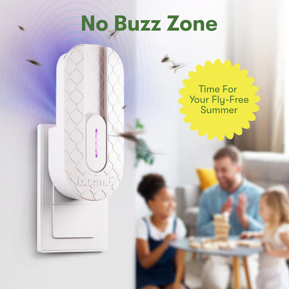 No Buzz Zone - Image 6