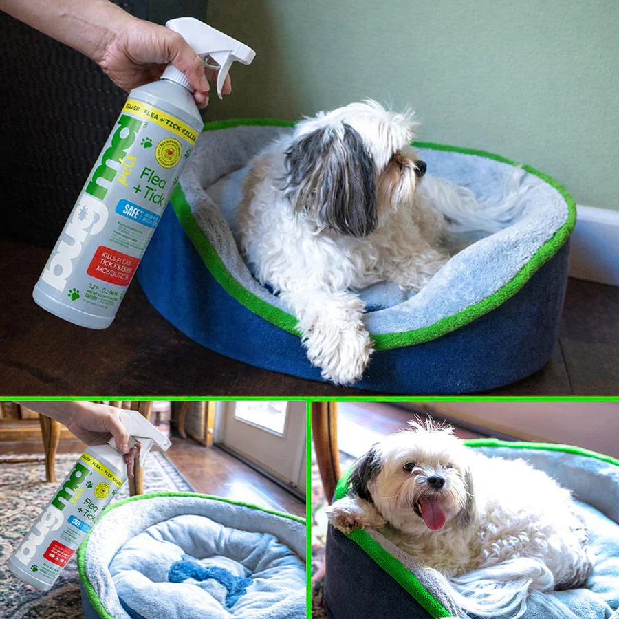 Spray Bottle - Image 6