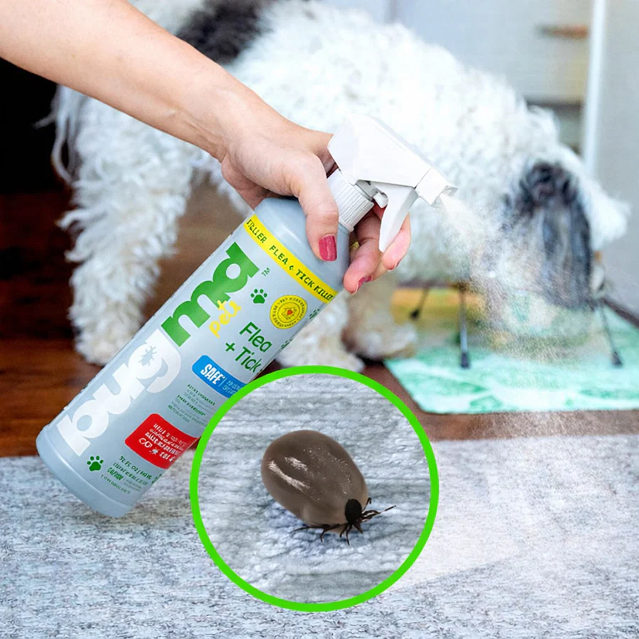 Spray Bottle - Image 7