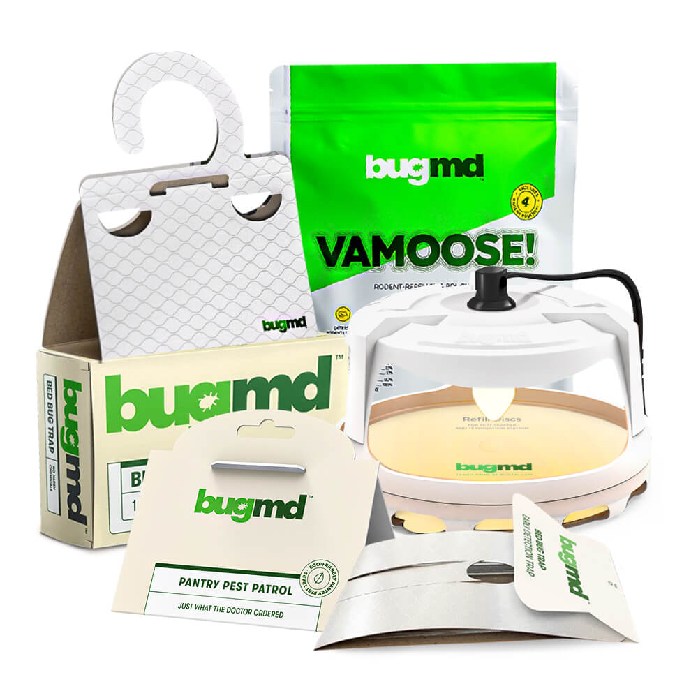 BugMD Exclusive Winter Stock Up Bundle