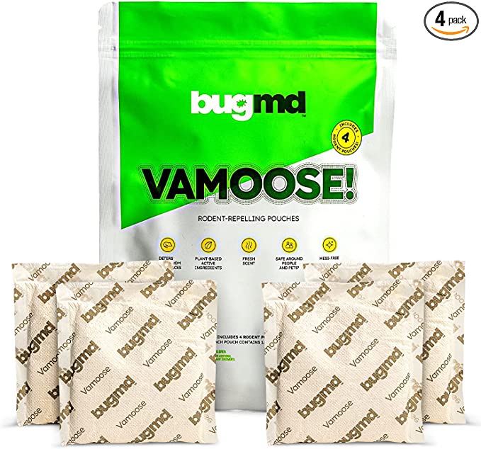 BugMD Exclusive Winter Stock Up Bundle - Image 2